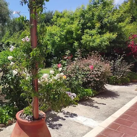 La Casa Di Giada, A Piano Terra In Con Aria Condizionata, Wi-fi E Parcheggio Gratuito