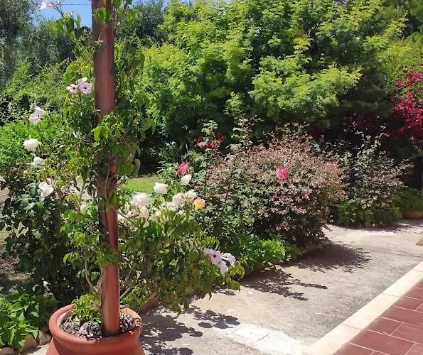 La Casa Di Giada, A Piano Terra In Con Aria Condizionata, Wi-fi E Parcheggio Gratuito